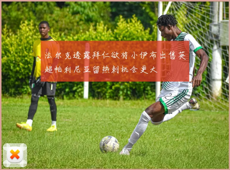 法尔克透露拜仁欲将小伊布出售英超帕利尼亚留热刺机会更大