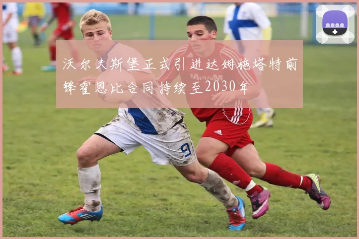 沃尔夫斯堡正式引进达姆施塔特前锋霍恩比合同持续至2030年